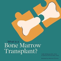 What is a Bone Marrow Transplant?