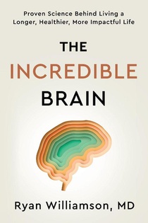 The Incredible Brain