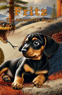 Fritz: The Adventures Begin