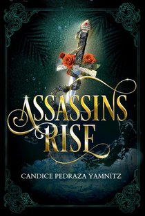 Assassins Rise