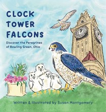Clock Tower Falcons
